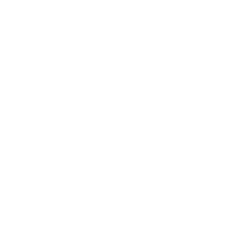 PersonaPlus logo