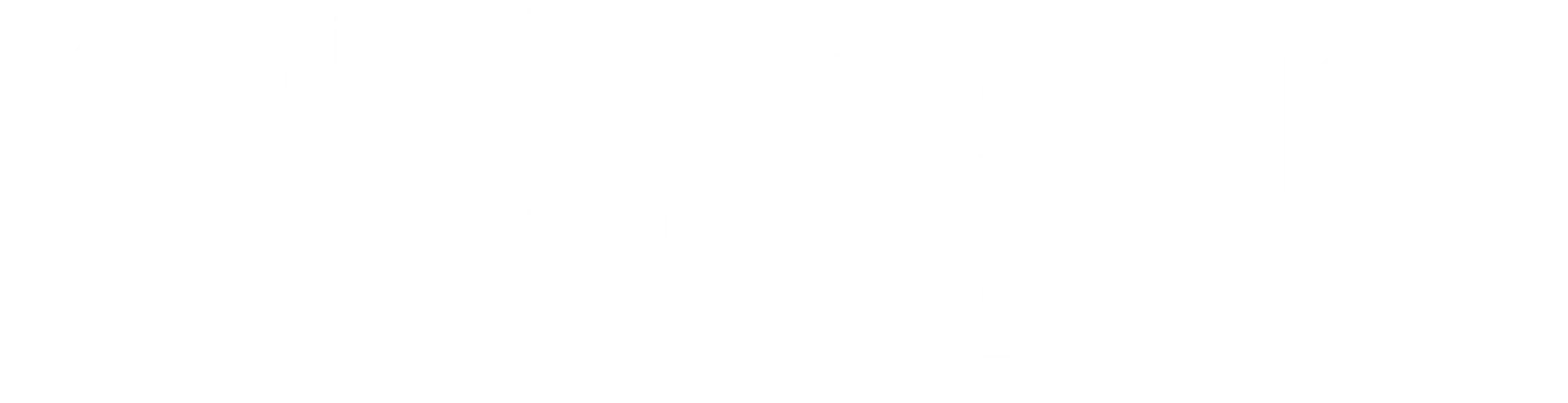 PersonaPlus' logo